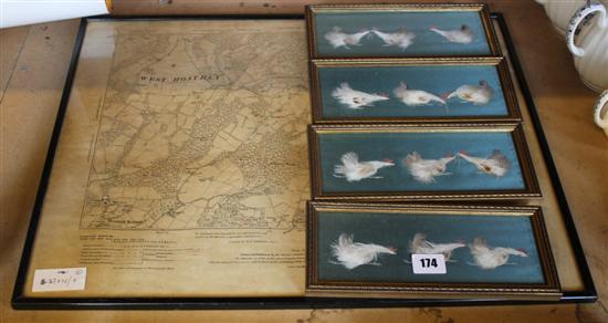 Framed map & 4 feather pictures